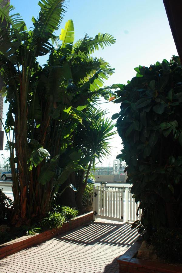 Apartament Candela's Port